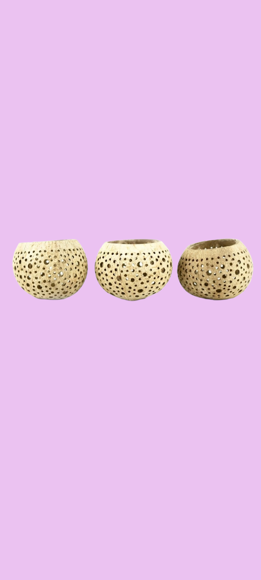 Dotty Handmade Coconut Shell Tea Bag